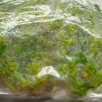 畑の菜の花半分を冷凍で保存、小分けに出来る量ではないのでそのまま平らにして冷凍です。